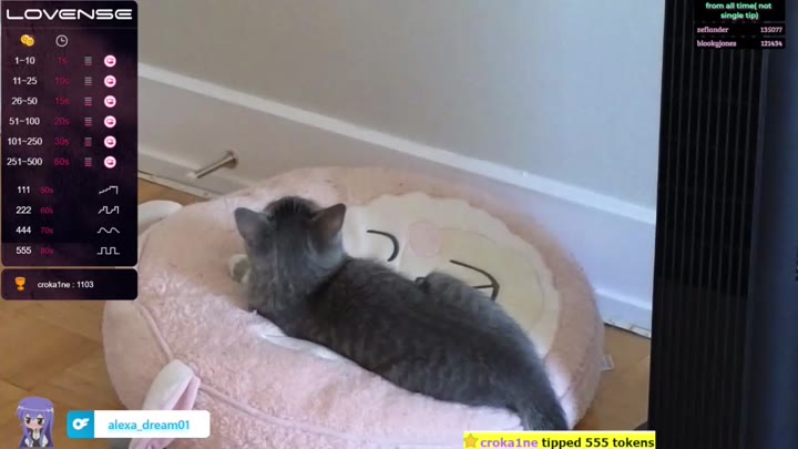 Watch alexa dream-1684797587492