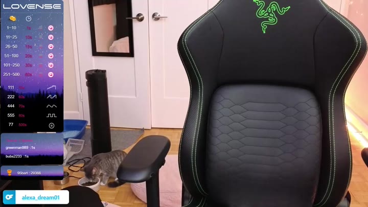 Watch alexa dream-1687912067894