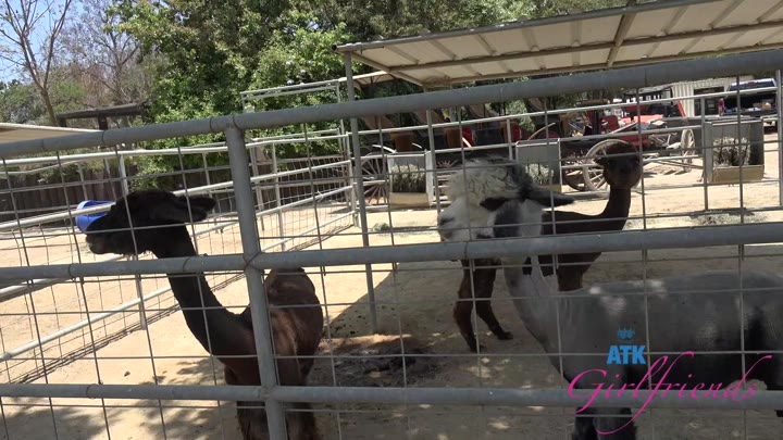 Watch ATK Girlfriends – Breezy Bri Farm Date 1
