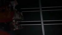 Watch Cewek Pirang Malay Dipamerin Otong Langsung Ngentot
